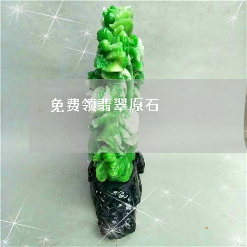 免费领翡翠原石/2023040584142 免费领翡翠原石/2023040584142