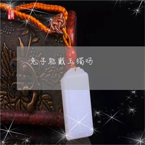 兔子能戴玉镯吗/2023040550402 兔子能戴玉镯吗/2023040550402