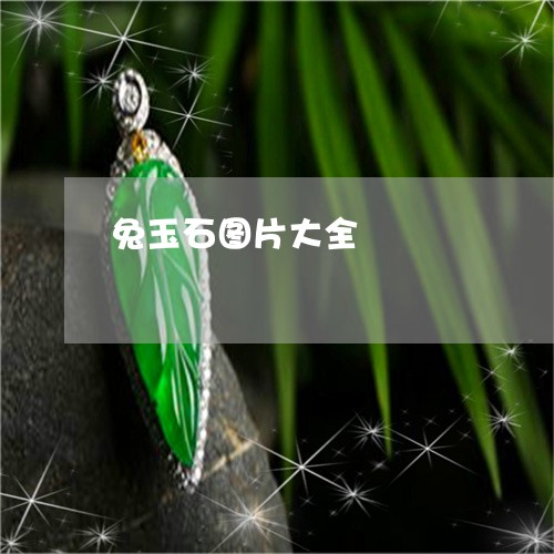 兔玉石图片大全/2023040556049 兔玉石图片大全/2023040556049