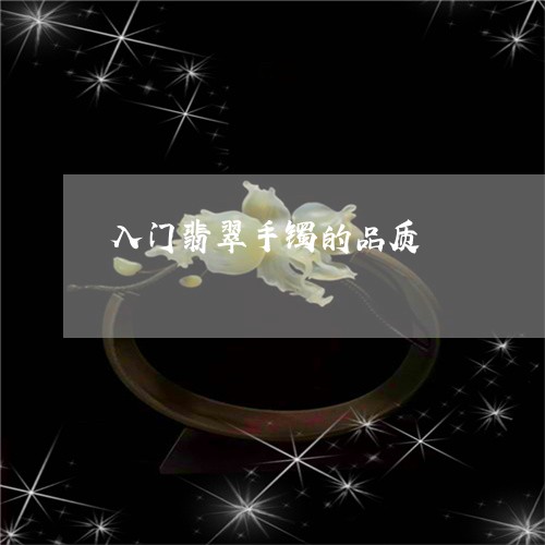 入门翡翠手镯的品质/2023042383028 入门翡翠手镯的品质/2023042383028