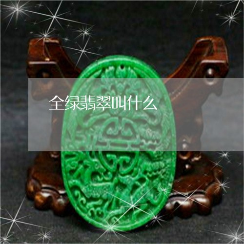 全绿翡翠叫什么/2023040569583