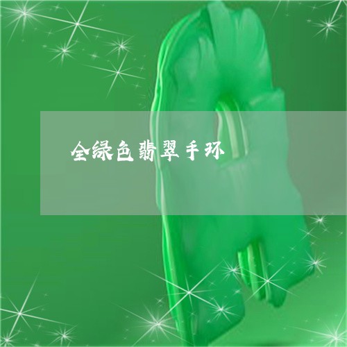 全绿色翡翠手环/2023040563684 全绿色翡翠手环/2023040563684
