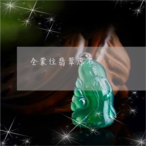 全蒙住翡翠原石/2023040596716 全蒙住翡翠原石/2023040596716