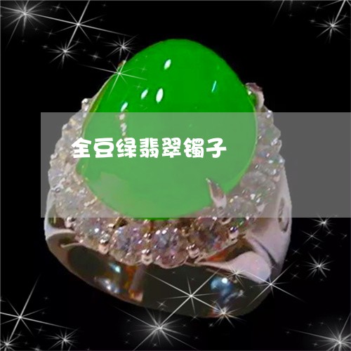全豆绿翡翠镯子/2023040563606 全豆绿翡翠镯子/2023040563606