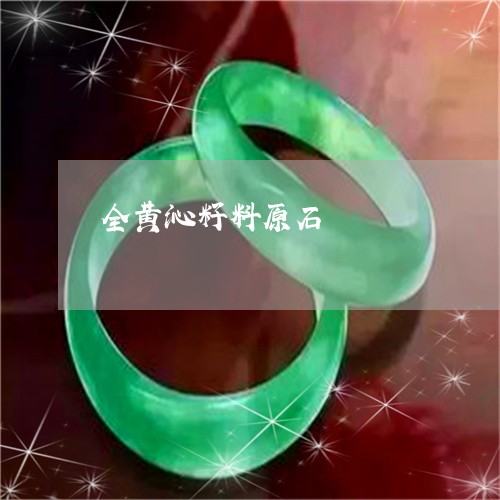 全黄沁籽料原石/2023040533504