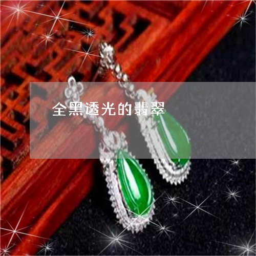 全黑透光的翡翠/2023040562946 全黑透光的翡翠/2023040562946