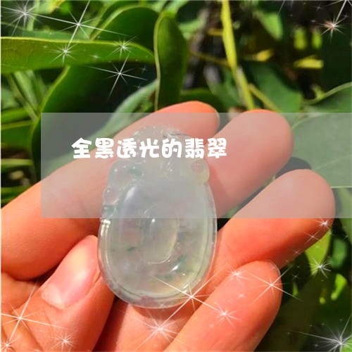 全黑透光的翡翠/2023040563804 全黑透光的翡翠/2023040563804