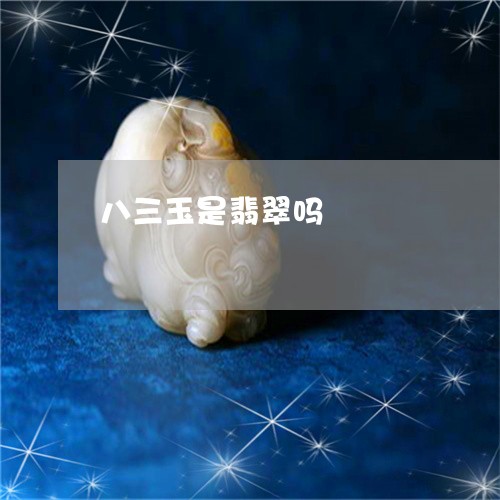 八三玉是翡翠吗/2023040532492 八三玉是翡翠吗/2023040532492
