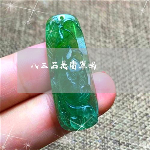 八三石是翡翠吗/2023040569694