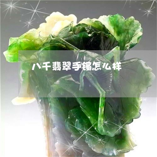 八千翡翠手镯怎么样/2023042304905 八千翡翠手镯怎么样/2023042304905