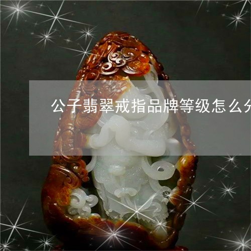 公子翡翠戒指品牌等级怎么分/2023071228258