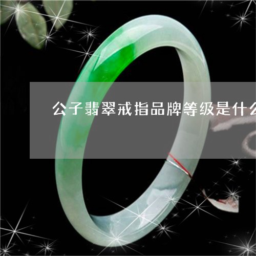 公子翡翠戒指品牌等级是什么/2023071294835