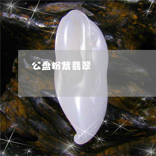 公盘粉紫翡翠/2023032059602 公盘粉紫翡翠/2023032059602