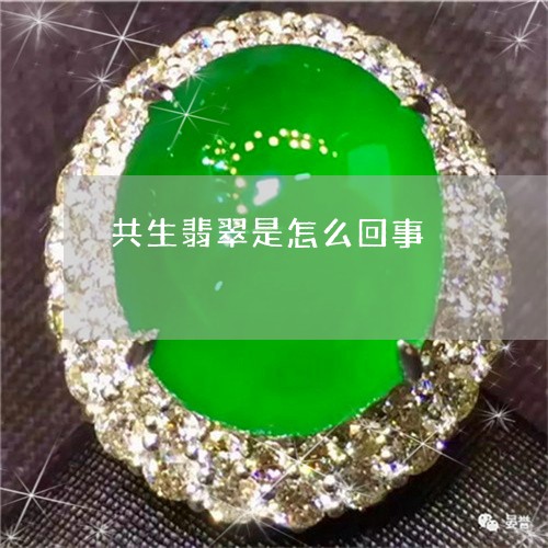 共生翡翠是怎么回事/2023042306939