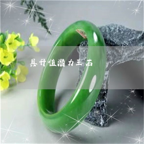 具升值潜力玉石/2023040551615 具升值潜力玉石/2023040551615