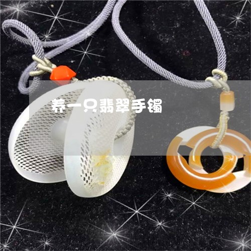 养一只翡翠手镯/2023040546028 养一只翡翠手镯/2023040546028