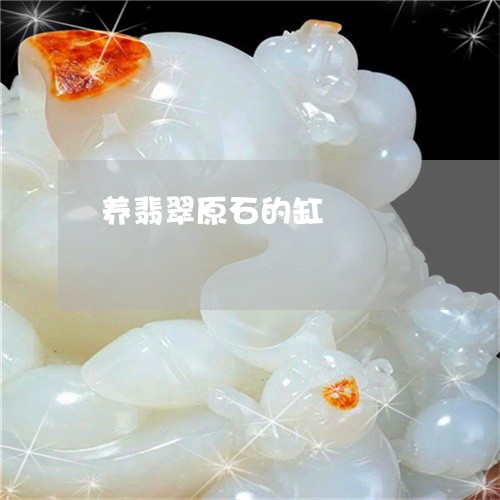 养翡翠原石的缸/2023040525949 养翡翠原石的缸/2023040525949