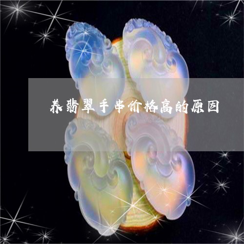 养翡翠手串价格高的原因/2023061951582