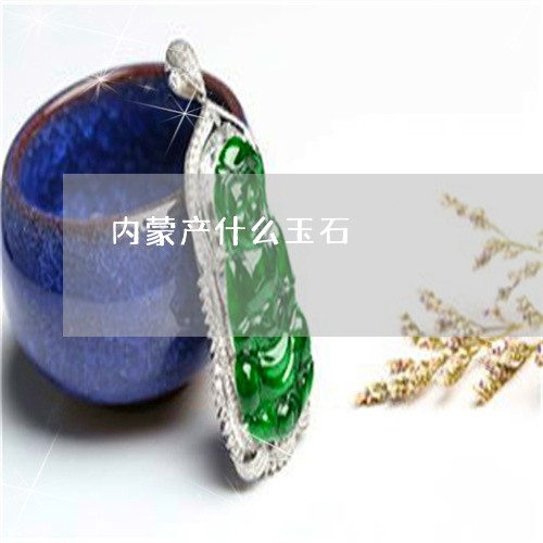 内蒙产什么玉石/2023040532604 内蒙产什么玉石/2023040532604