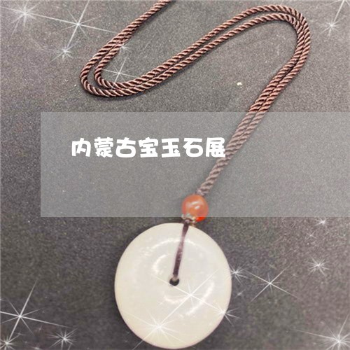 内蒙古宝玉石展/2023040583726