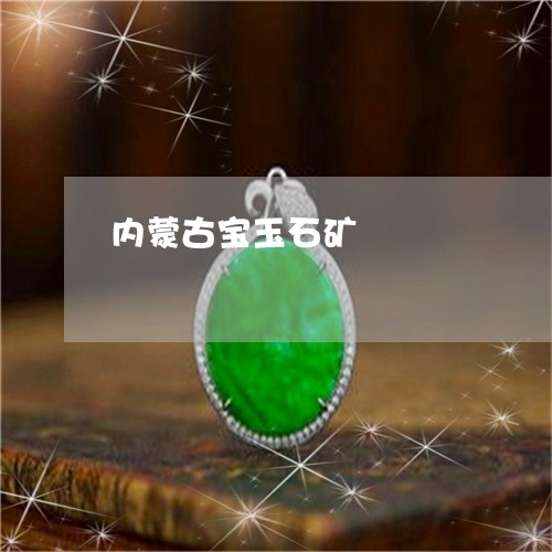 内蒙古宝玉石矿/2023040562613