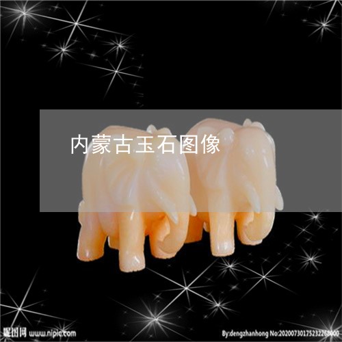 内蒙古玉石图像/2023040595817 内蒙古玉石图像/2023040595817