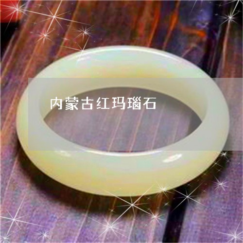 内蒙古红玛瑙石/2023040503925