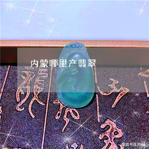 内蒙哪里产翡翠/2023040527969