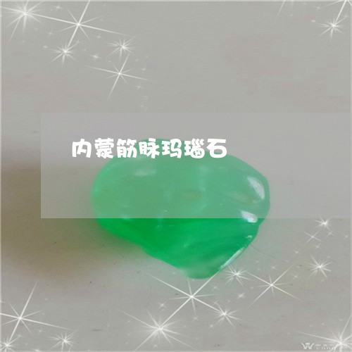 内蒙筋脉玛瑙石/2023040516371