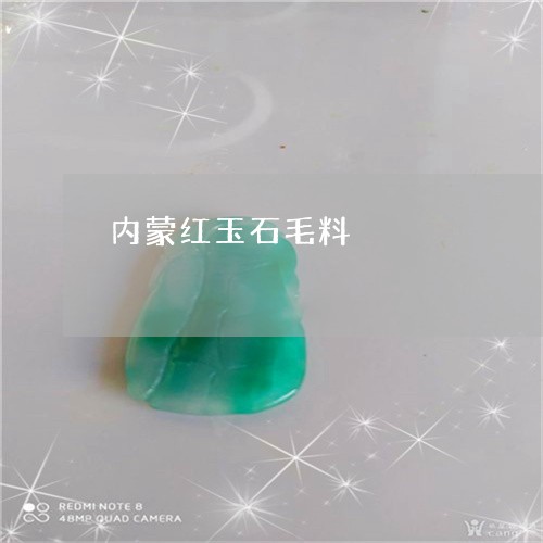 内蒙红玉石毛料/2023040562927