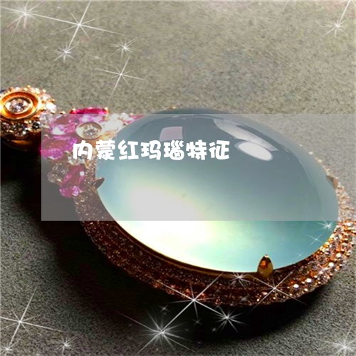 内蒙红玛瑙特征/2023040583593