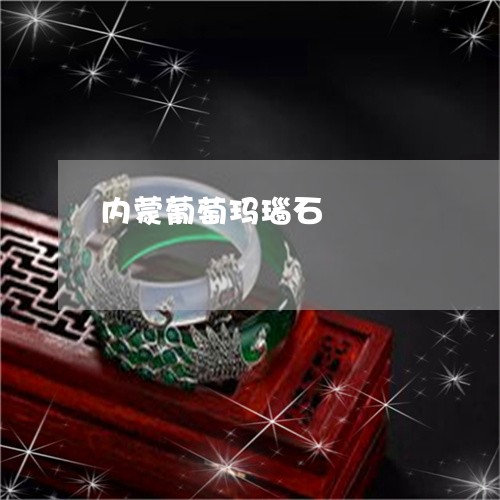 内蒙葡萄玛瑙石/2023040583816 内蒙葡萄玛瑙石/2023040583816