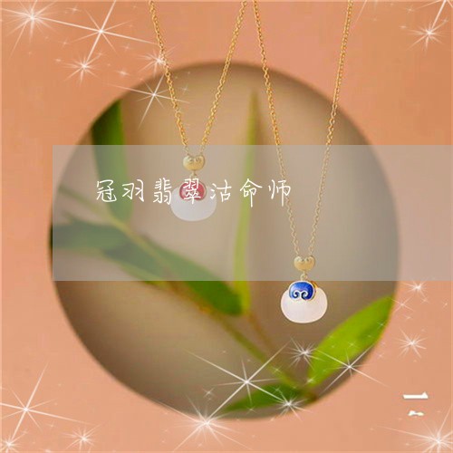 冠羽翡翠沽命师/2023040594916 冠羽翡翠沽命师/2023040594916