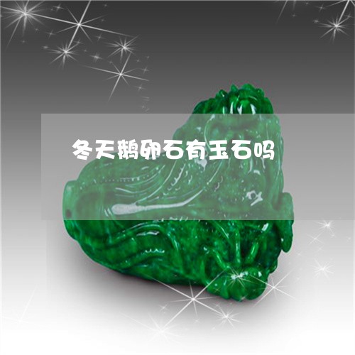 冬天鹅卵石有玉石吗/2023042395815 冬天鹅卵石有玉石吗/2023042395815