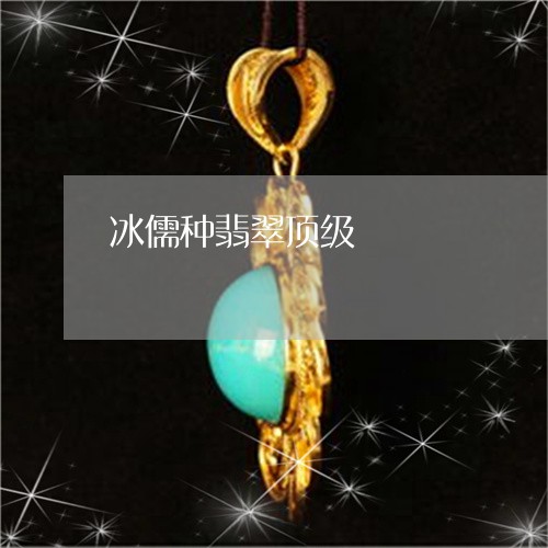 冰儒种翡翠顶级/2023040529362 冰儒种翡翠顶级/2023040529362