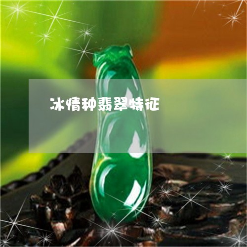 冰情种翡翠特征/2023040515925 冰情种翡翠特征/2023040515925