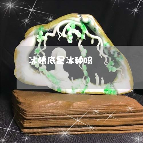 冰晴底是冰种吗/2023040538269