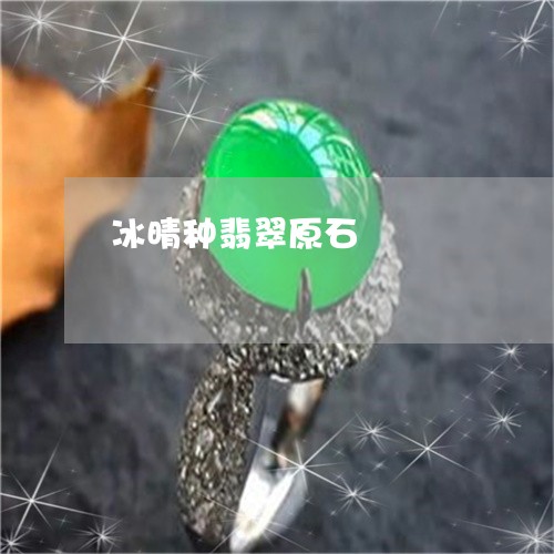 冰晴种翡翠原石/2023040514834 冰晴种翡翠原石/2023040514834