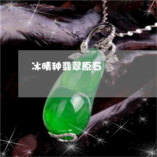 冰晴种翡翠原石/2023040545847 冰晴种翡翠原石/2023040545847