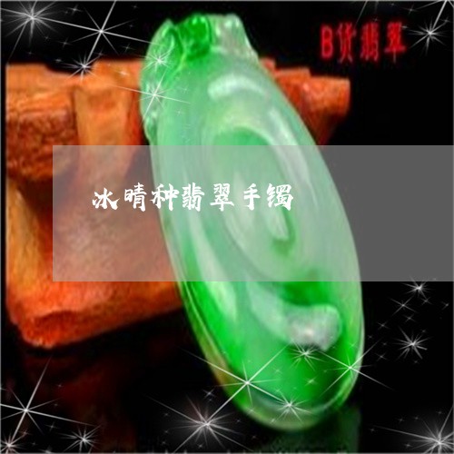冰晴种翡翠手镯/2023040550593 冰晴种翡翠手镯/2023040550593