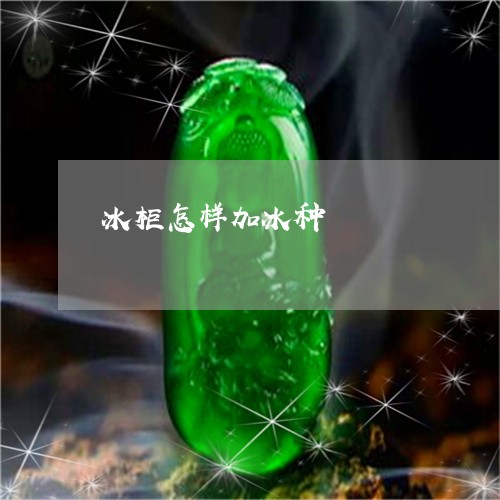 冰柜怎样加冰种/2023040555969 冰柜怎样加冰种/2023040555969