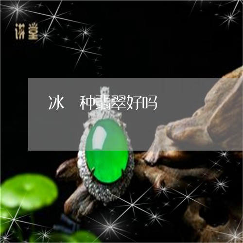 冰檽种翡翠好吗/2023040584958