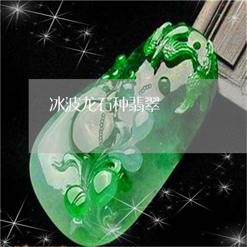 冰波龙石种翡翠/2023040542814 冰波龙石种翡翠/2023040542814