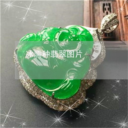 冰濡种翡翠图片/2023040526078
