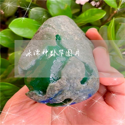 冰濡种翡翠图片/2023040532594