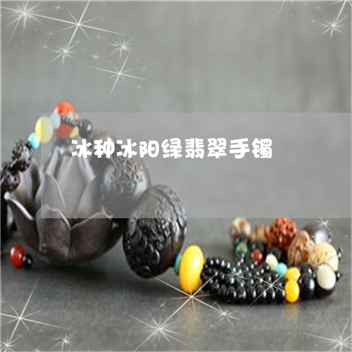 冰种冰阳绿翡翠手镯/2023042317859 冰种冰阳绿翡翠手镯/2023042317859