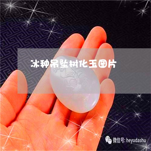 冰种吊坠树化玉图片/2023042314827
