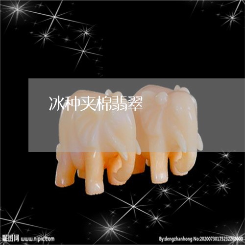 冰种夹棉翡翠/2023032049372 冰种夹棉翡翠/2023032049372
