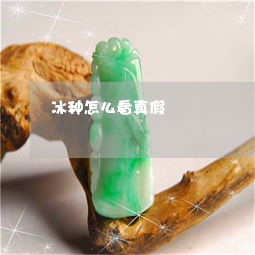 冰种怎么看真假/2023040570380 冰种怎么看真假/2023040570380