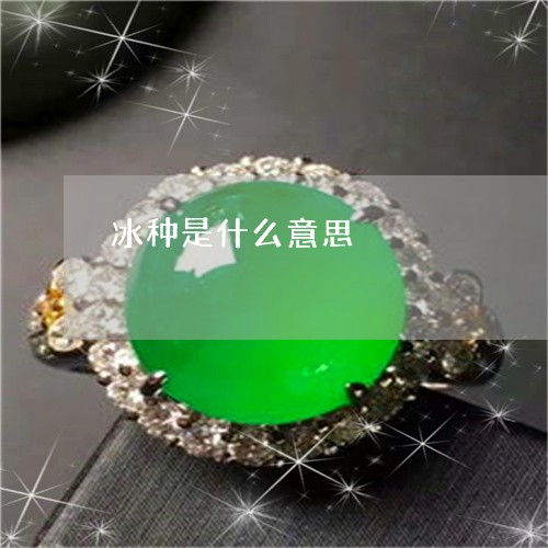 冰种是什么意思/2023040554715 冰种是什么意思/2023040554715